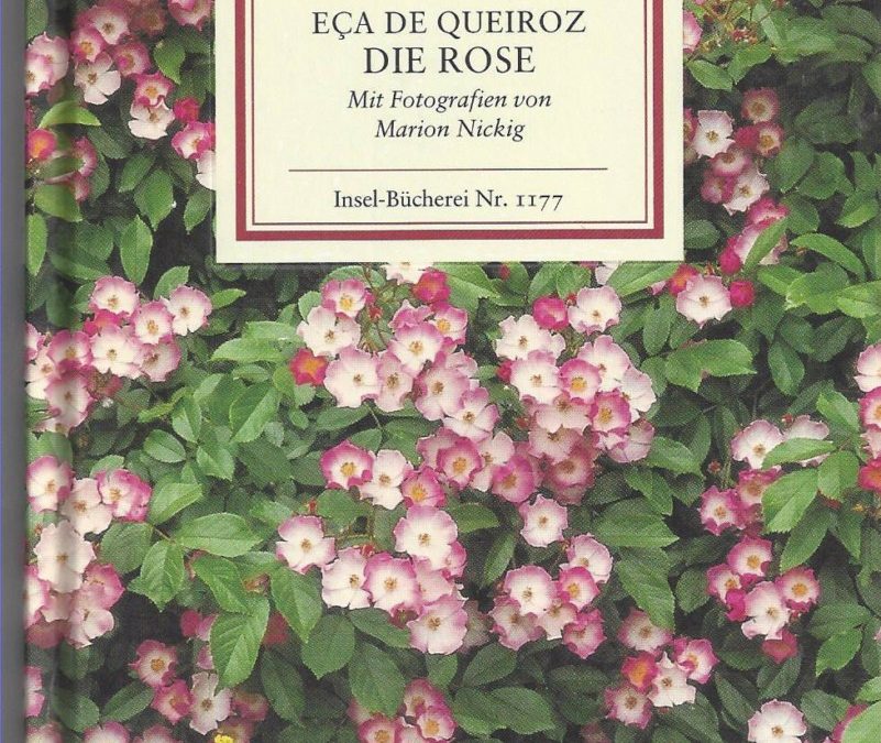 Buchempfehlung von Elisabeth Sternberg. Heute: Eca De Queiroz, Die Rose