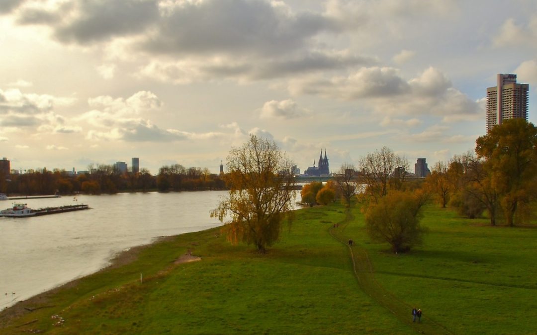 Blick von Riehl auf den Rhein und den Dom